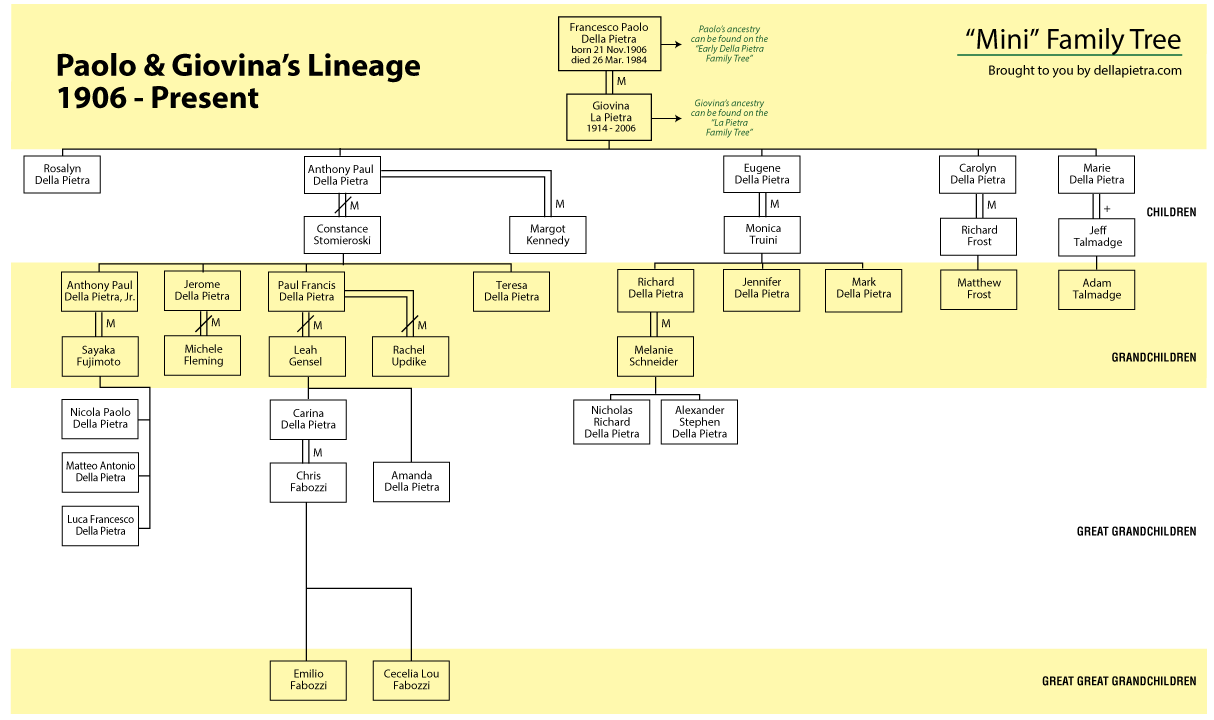 saccotree